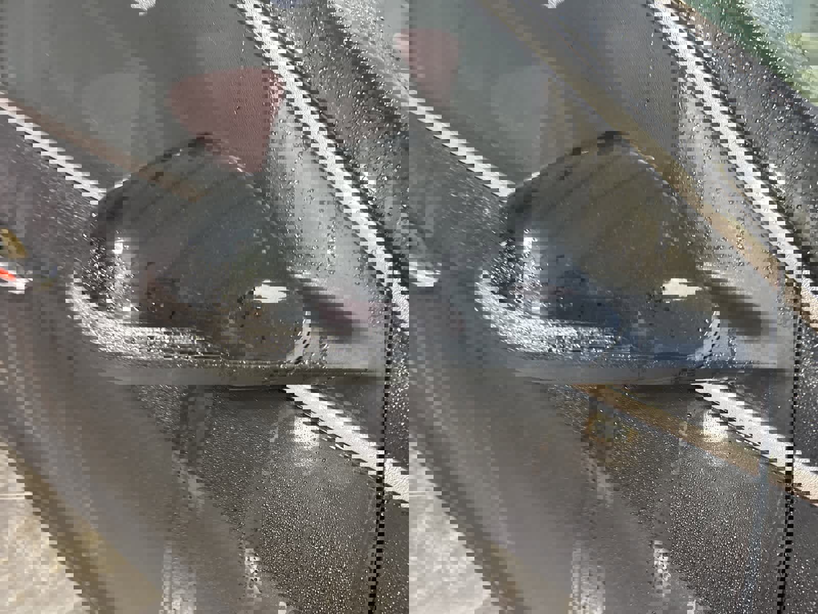 Used 2019 Hyundai Sonata SEL image 6