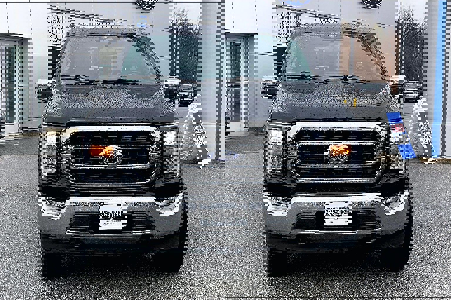 Used 2022 Ford F150 XLT w/ Equipment Group 302A High image 2