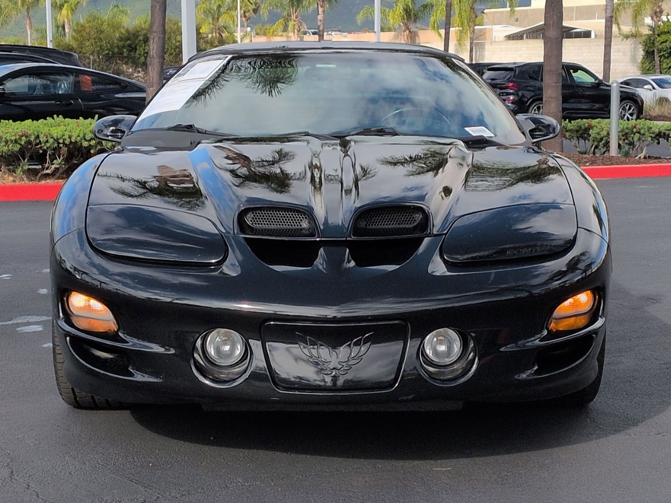Used 2002 Pontiac Firebird Trans Am image 3
