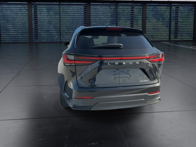Certified 2024 Lexus NX 250 FWD w/ Cold Area Package image 7