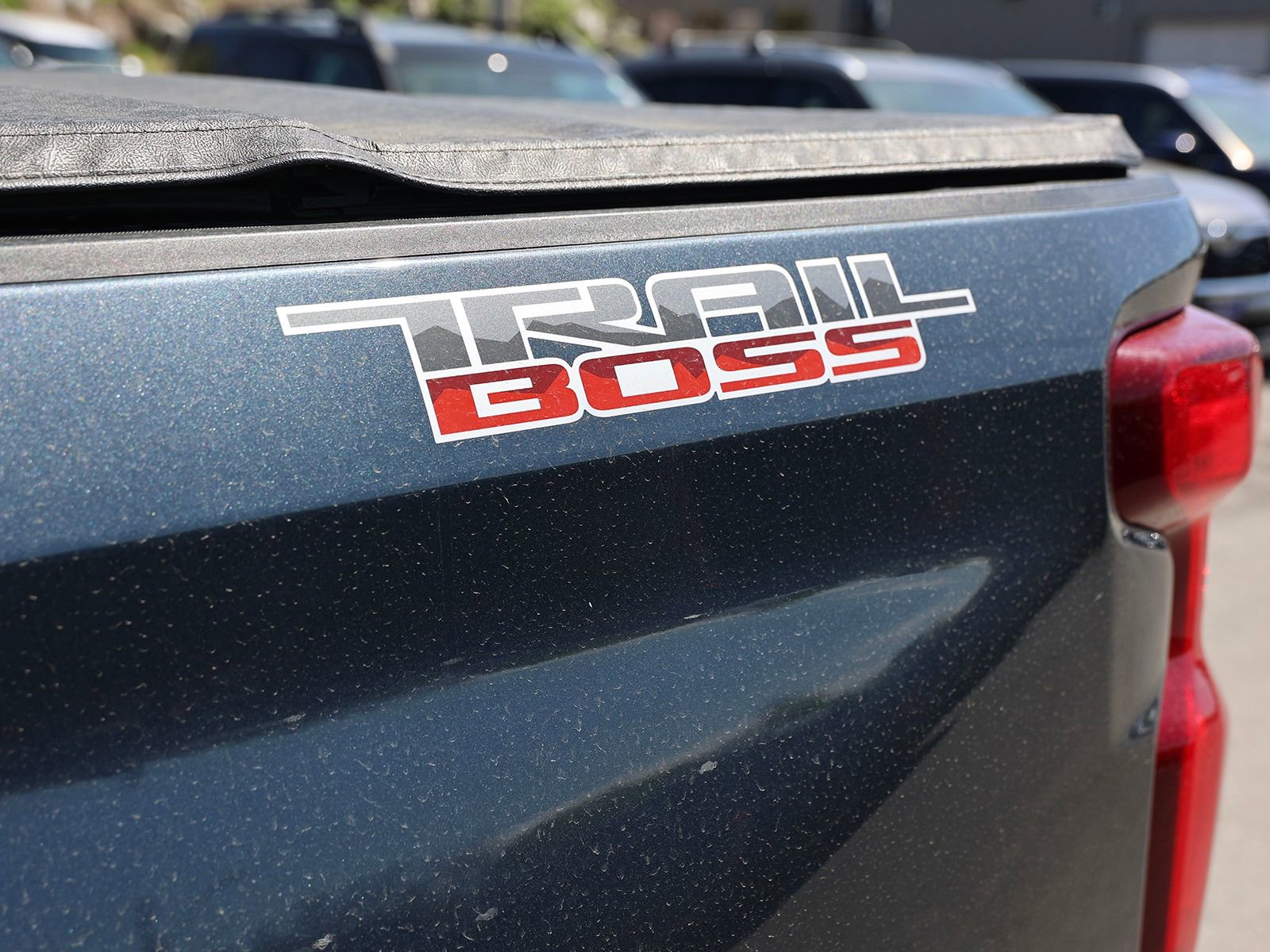 Used 2020 Chevrolet Silverado 1500 Custom Trail Boss w/ Custom Convenience Package AWD/4WD image 11