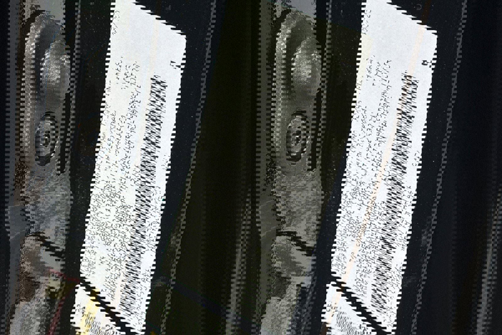 New 2026 Toyota Tundra Platinum image 34