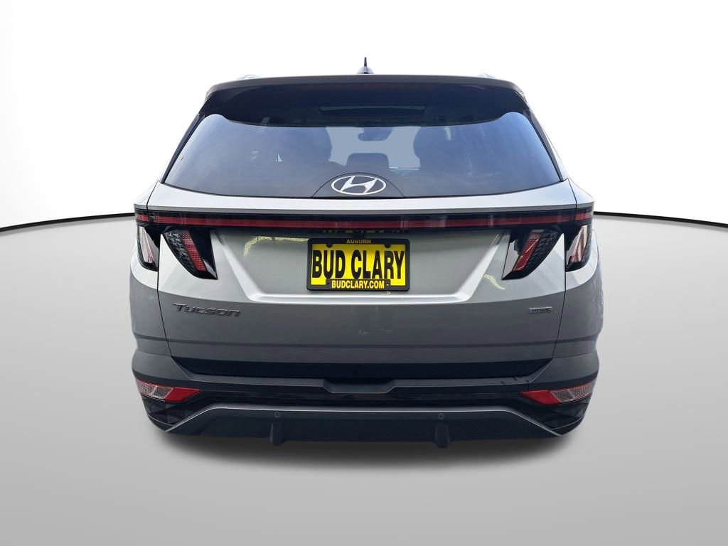 Used 2024 Hyundai Tucson Limited image 5