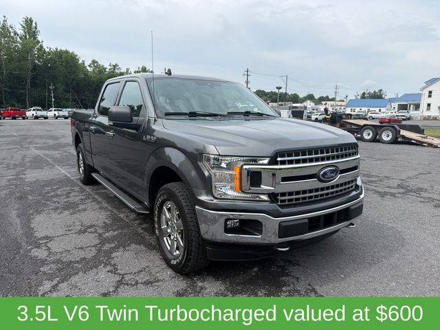 Used 2019 Ford F150 XLT w/ Equipment Group 302A Luxury AWD/4WD image 8
