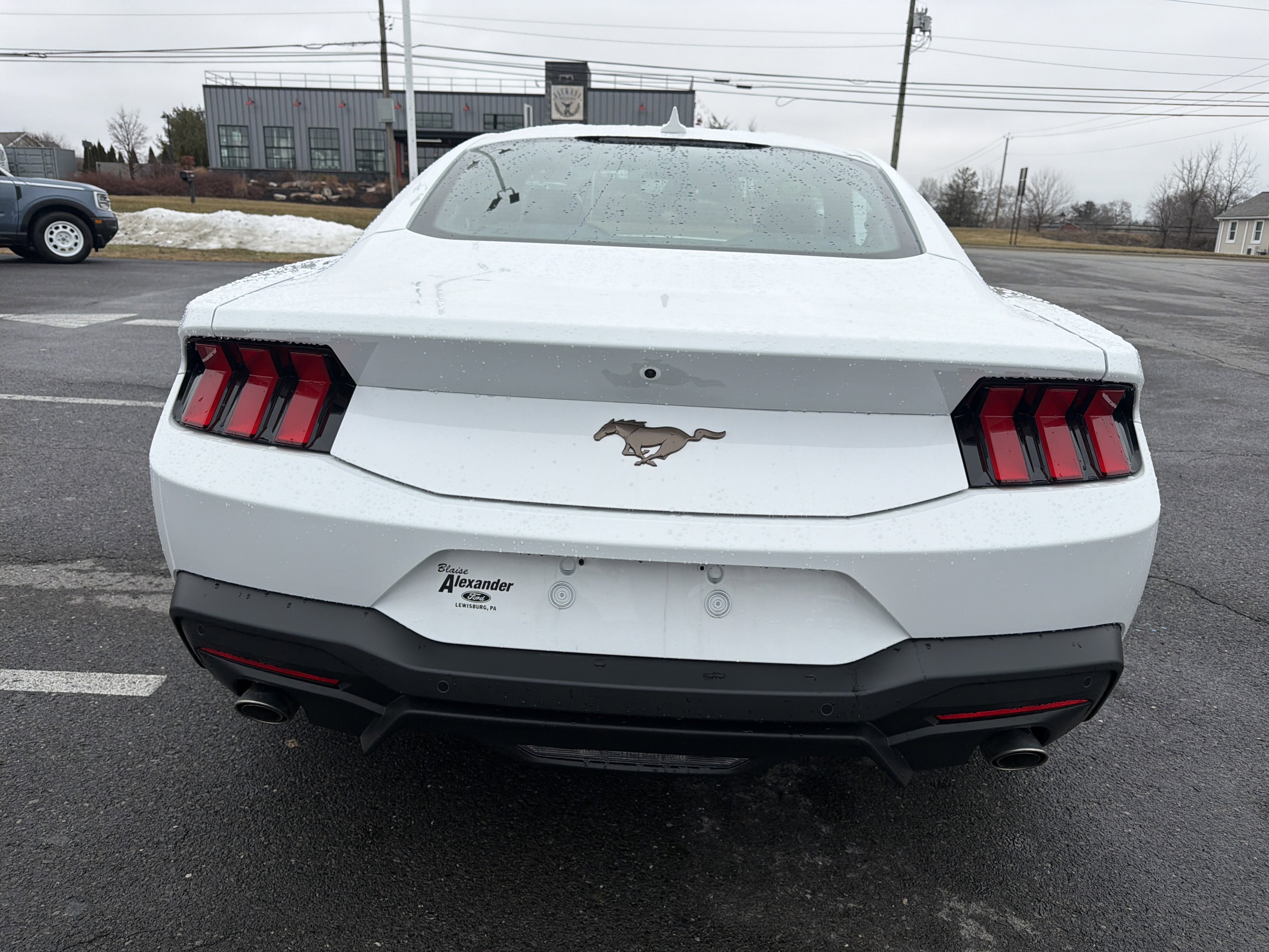 Used 2026 Ford Mustang EcoBoost image 4
