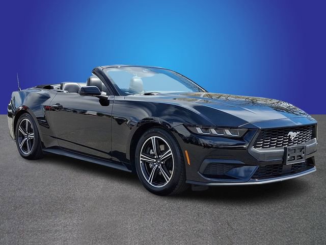 Used 2025 Ford Mustang Premium image 3