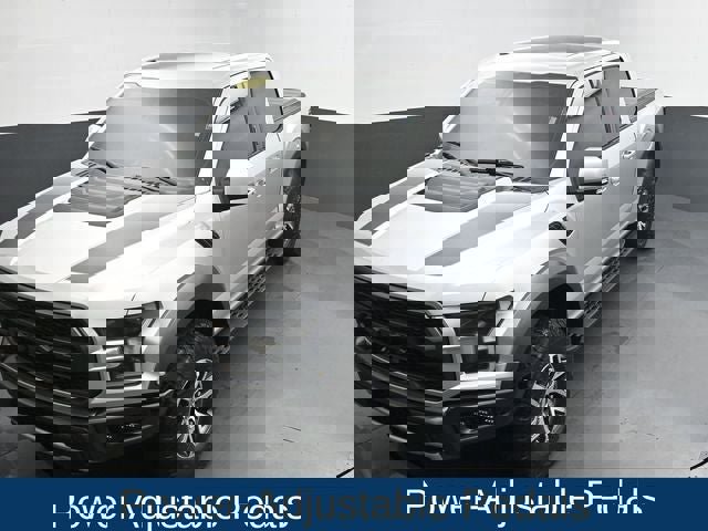 Used 2017 Ford F150 Raptor w/ Equipment Group 802A Luxury image 15