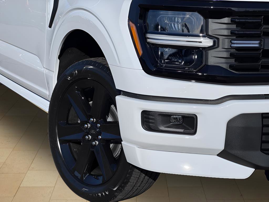 Used 2025 Ford F150 STX w/ LOBO Package image 41