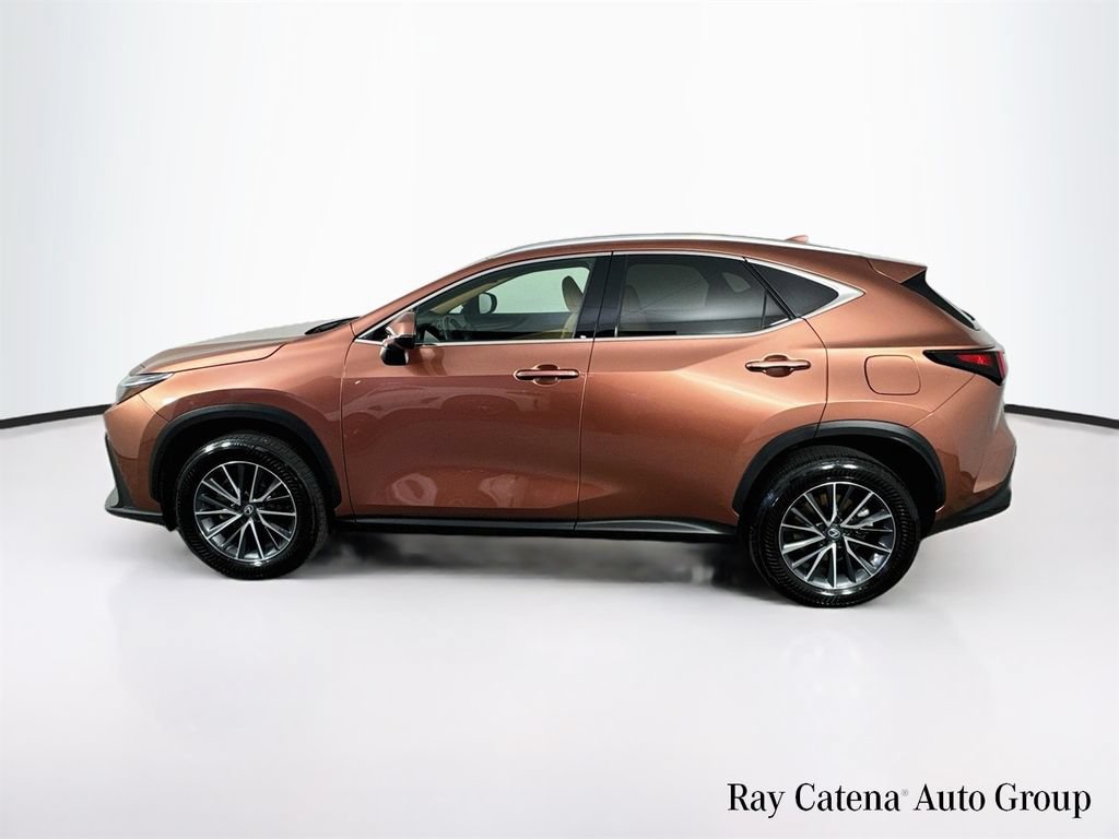 Certified 2026 Lexus NX 350 AWD w/ Cold Area Package image 4
