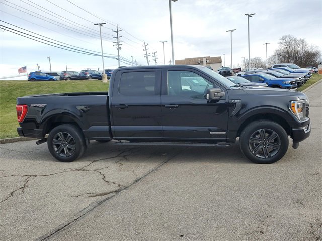 Used 2023 Ford F150 XLT w/ Equipment Group 302A High image 3