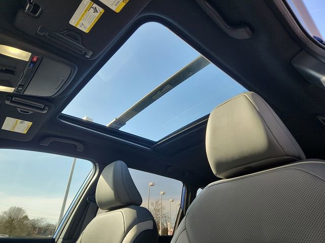 Used 2026 Subaru Forester Limited image 14