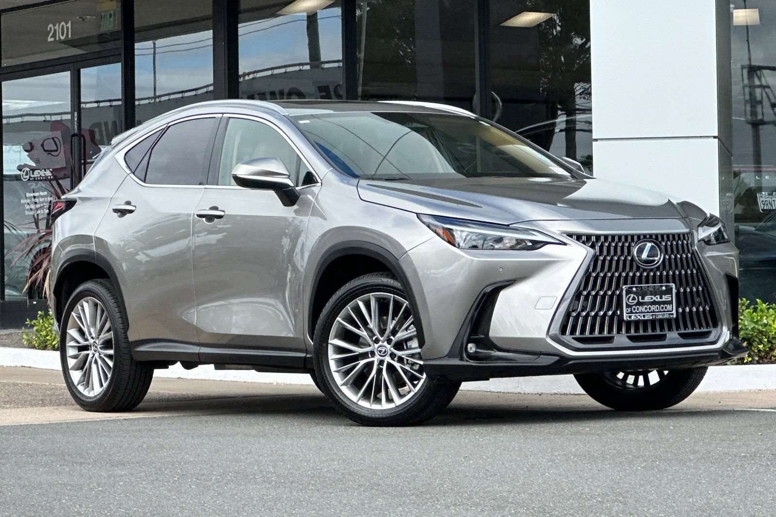 Certified 2025 Lexus NX 350h AWD w/ Cold Area Package image 2
