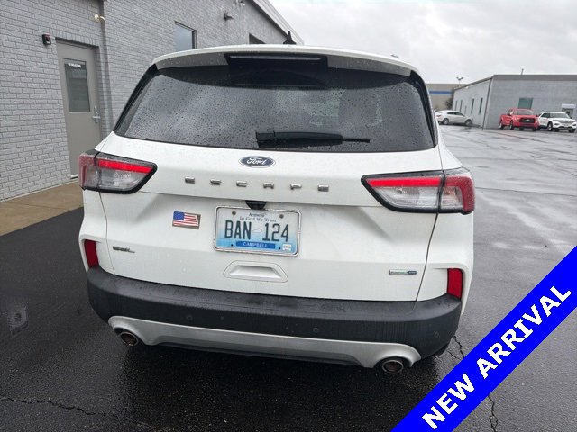 Used 2020 Ford Escape SEL image 4