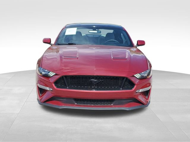 Used 2019 Ford Mustang GT w/ Equipment Group 301A image 2