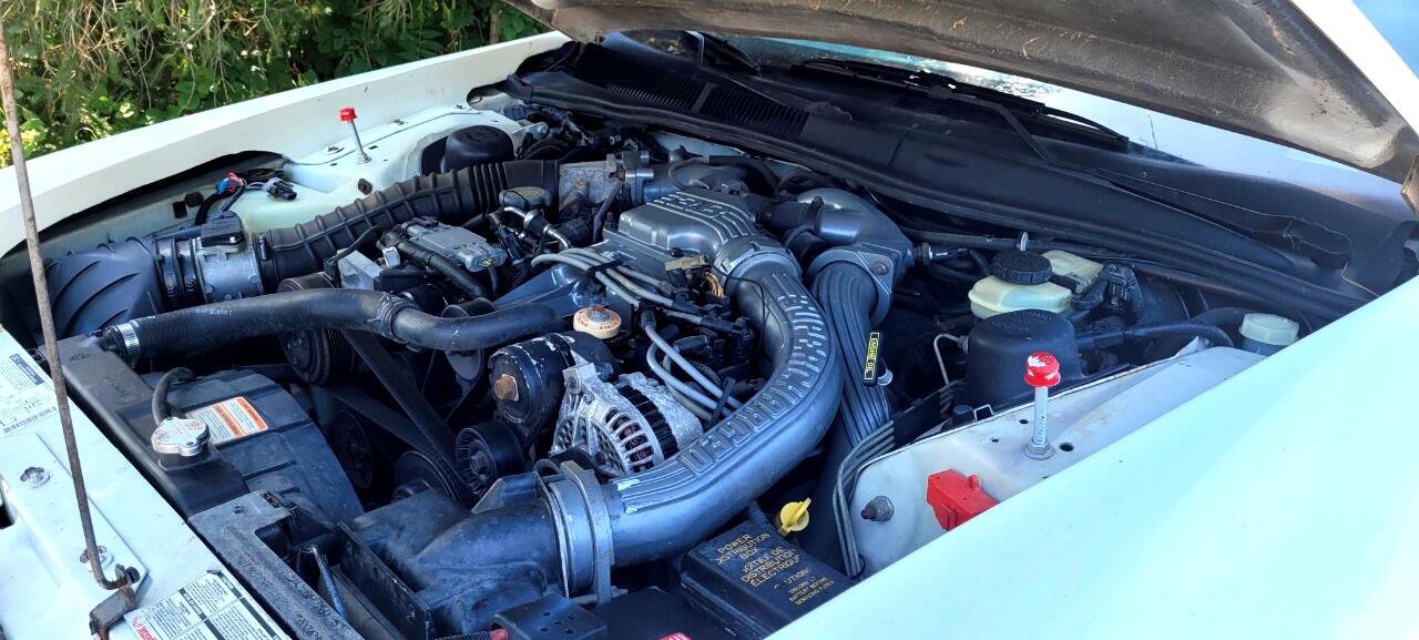 Used 1993 Ford Thunderbird Super image 9