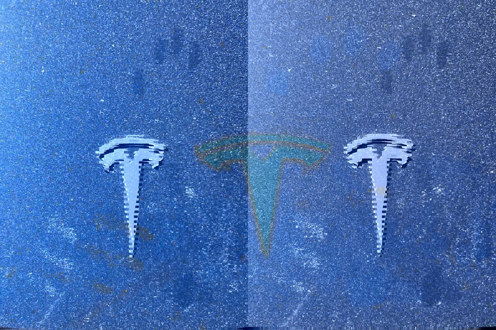 Used 2020 Tesla Model Y Long Range image 13