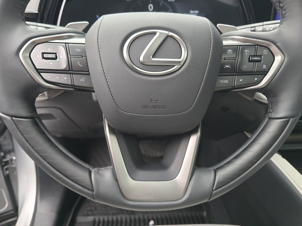 Used 2025 Lexus RX 350 Premium image 40