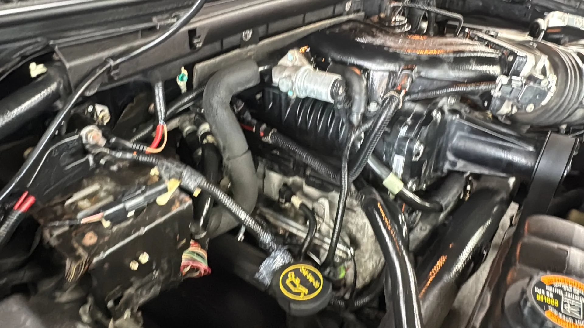 Used 2003 Ford F150 Harley-Davidson RWD image 64