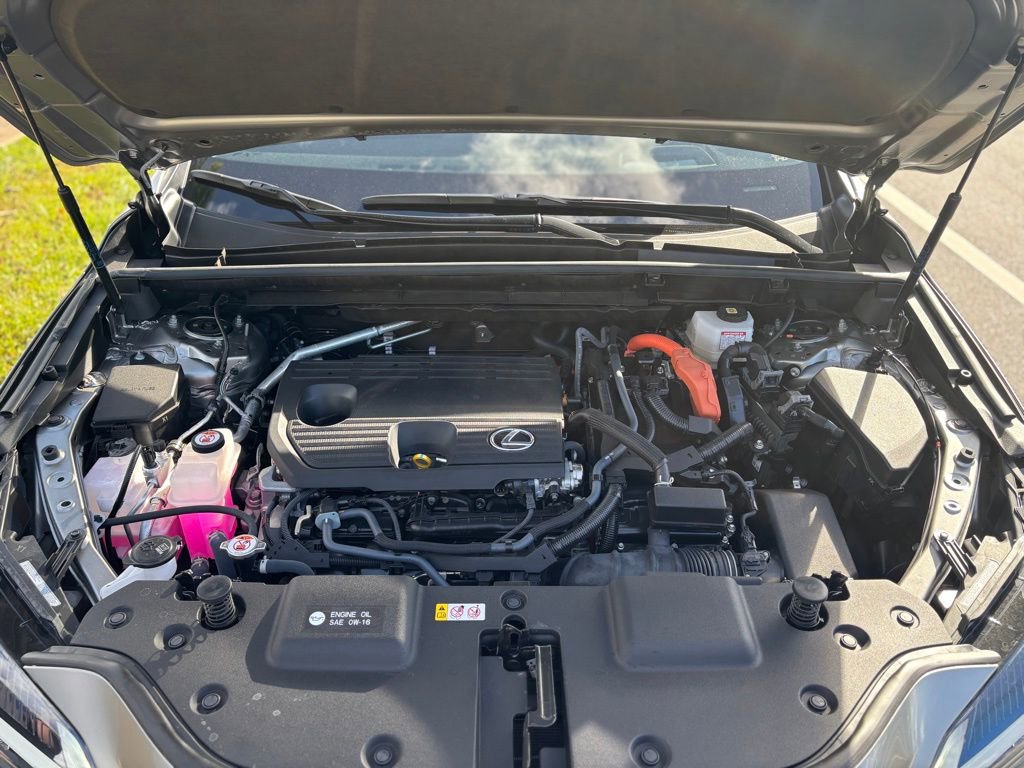 Used 2025 Lexus NX 350h AWD w/ Premium Package image 8