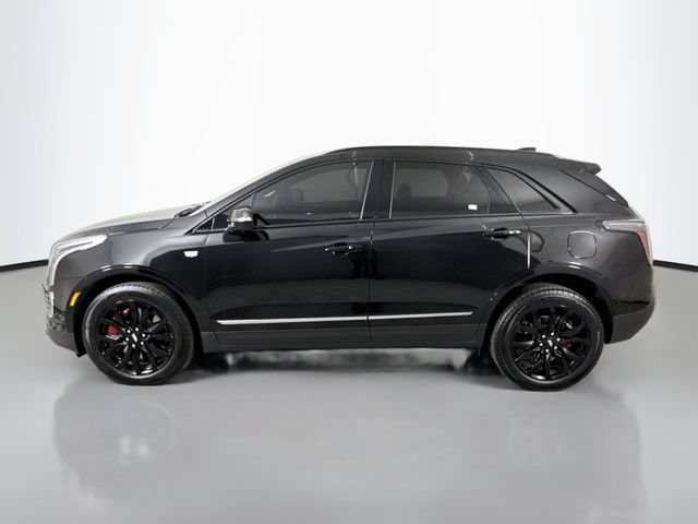 Used 2025 Cadillac XT5 Sportv w/ Technology Package AWD/4WD image 4