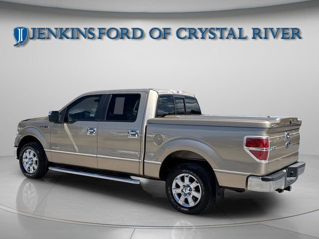 Used 2014 Ford F150 XLT w/ XLT Chrome Package RWD image 14