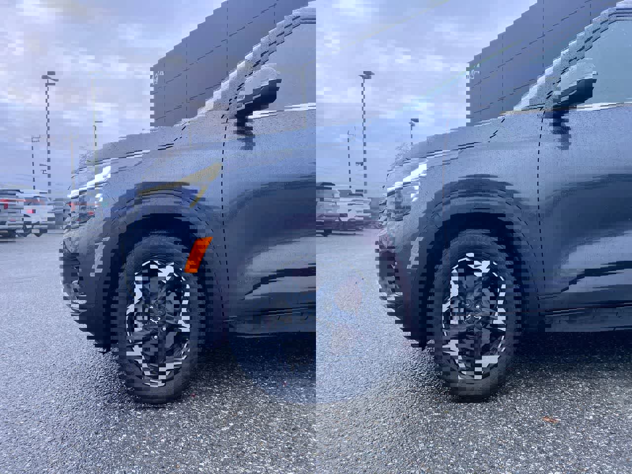 Certified 2025 Kia Seltos EX image 10