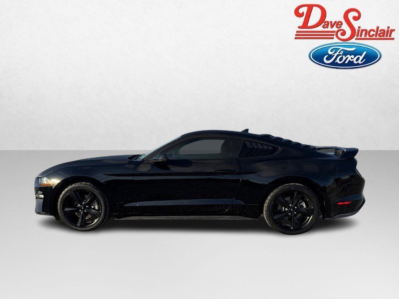 Used 2023 Ford Mustang Premium w/ Equipment Group 201A image 10