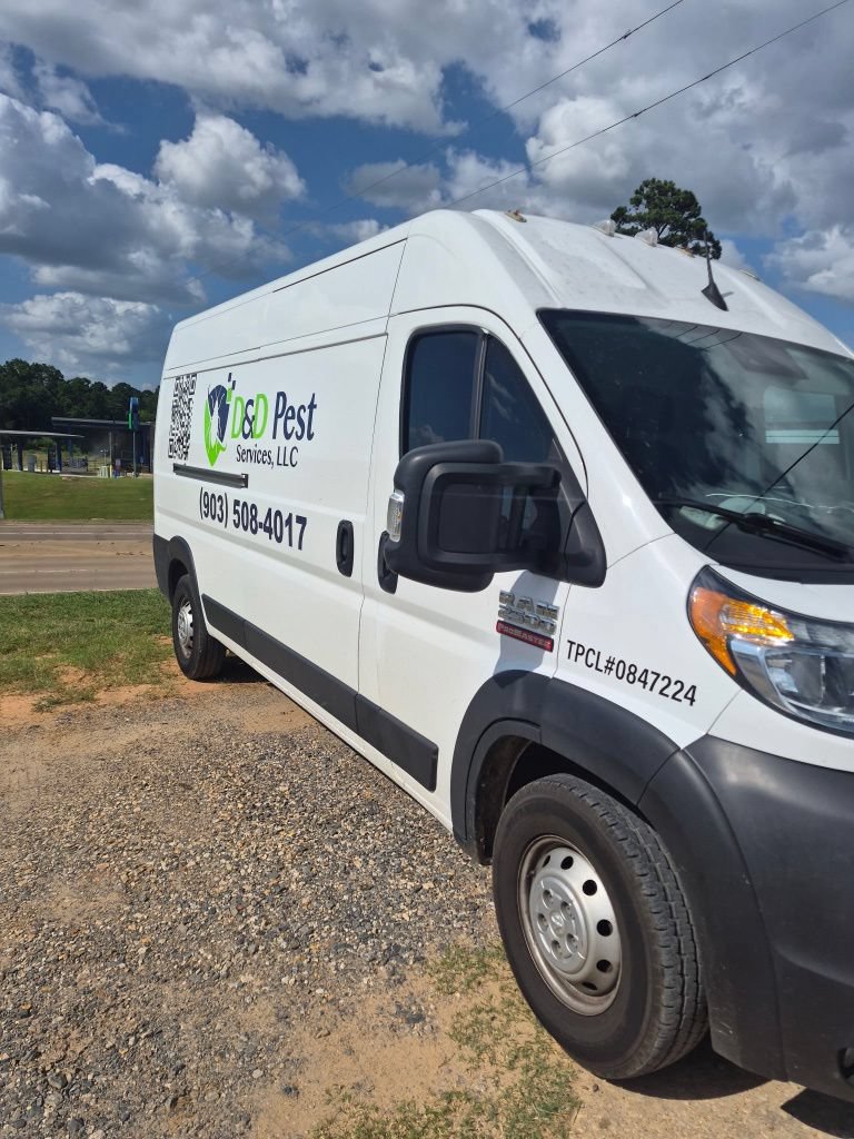 Used 2022 RAM ProMaster 2500 w/ Driver Convenience Group FWD image 3