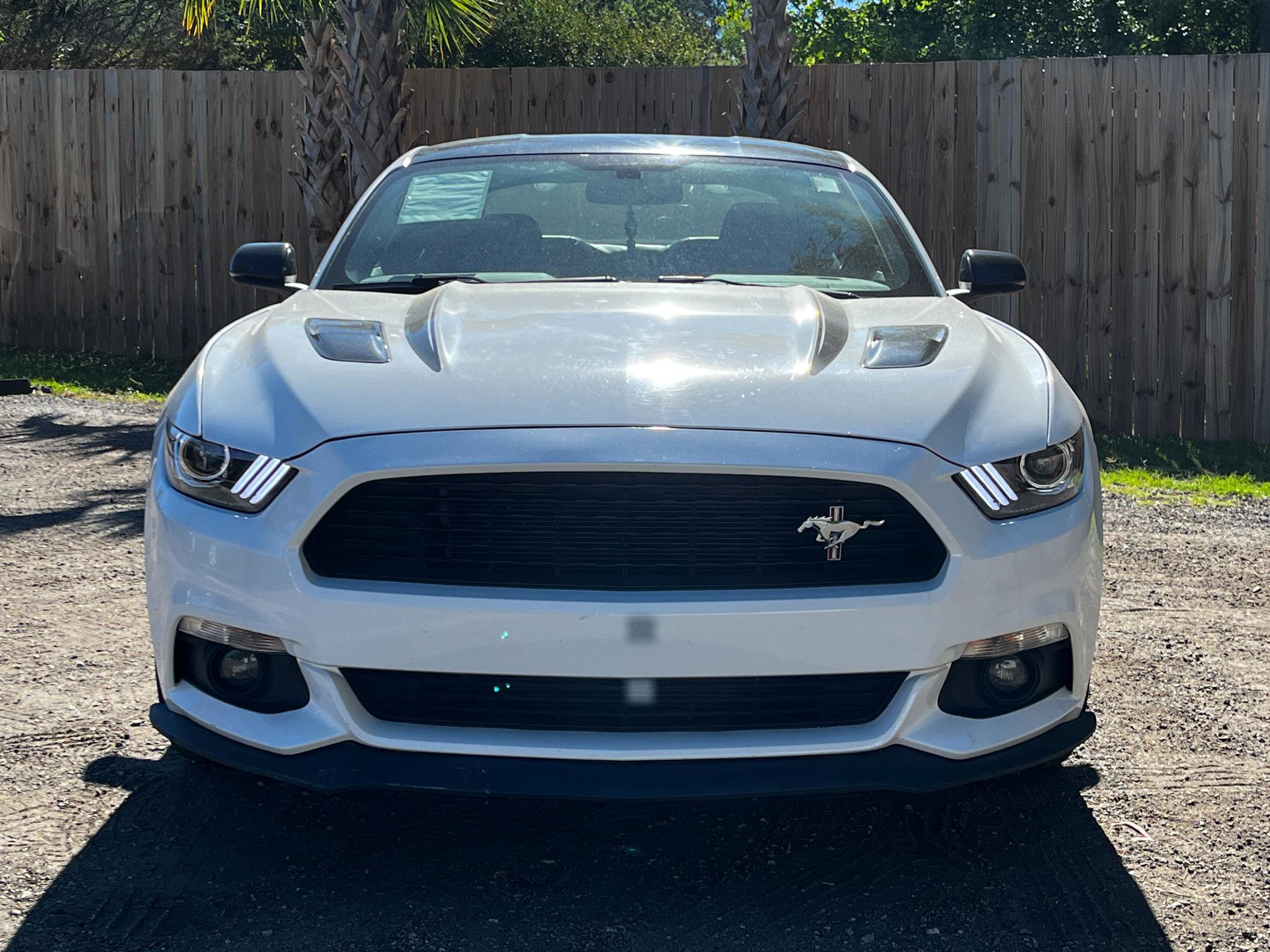 Used 2017 Ford Mustang GT Premium RWD image 3