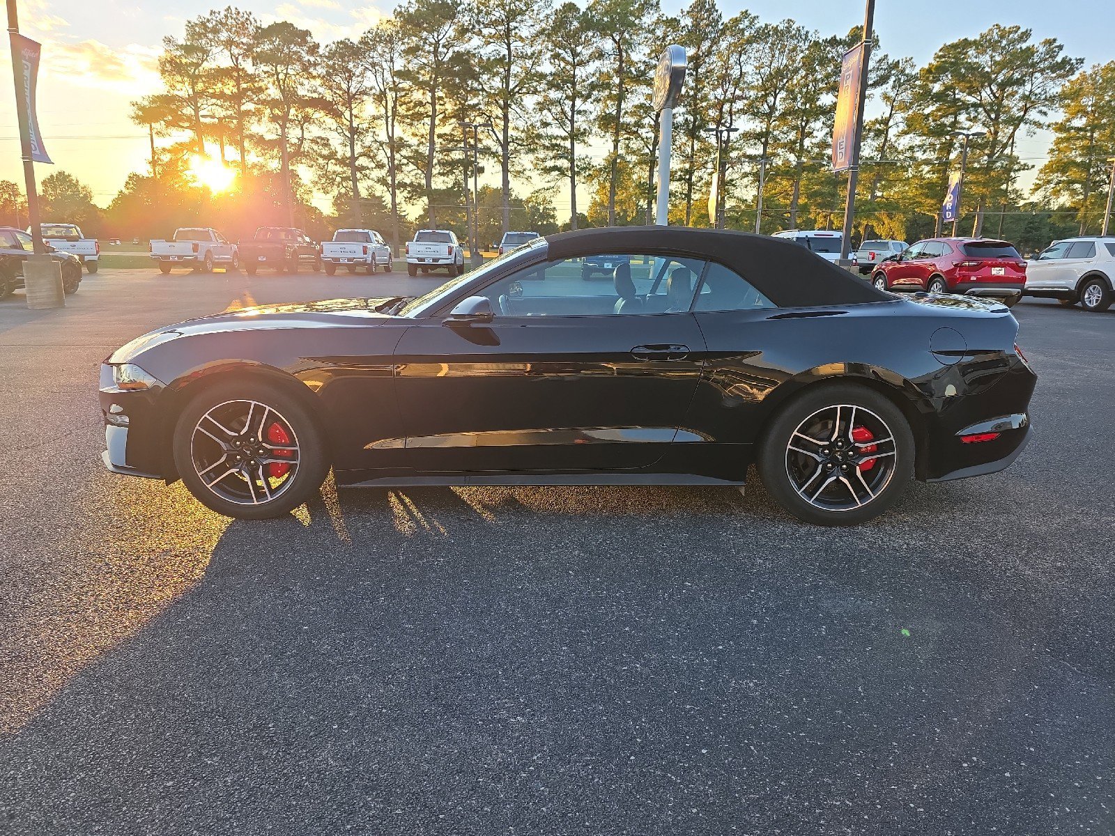 Used 2023 Ford Mustang Premium w/ Equipment Group 201A image 5