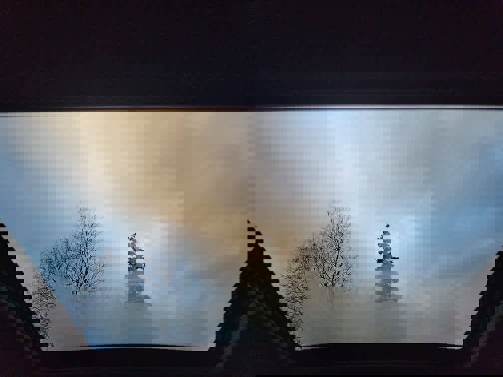 Certified 2023 Subaru Forester Wilderness image 13