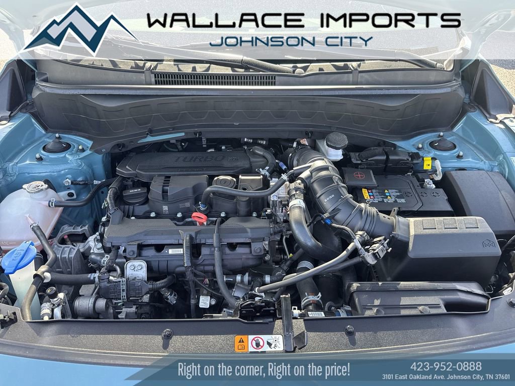 Used 2024 Kia Seltos SX w/ SX Sunroof Package AWD/4WD image 45