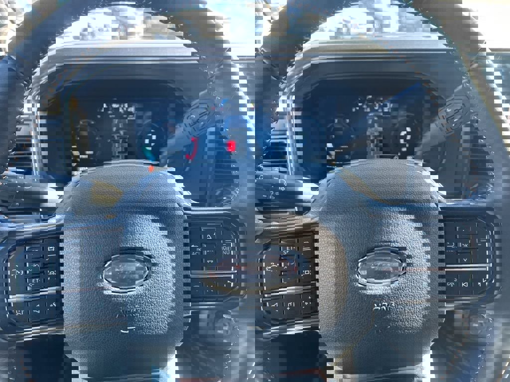 Used 2024 Ford F450 Platinum w/ FX4 Off-Road Package image 16