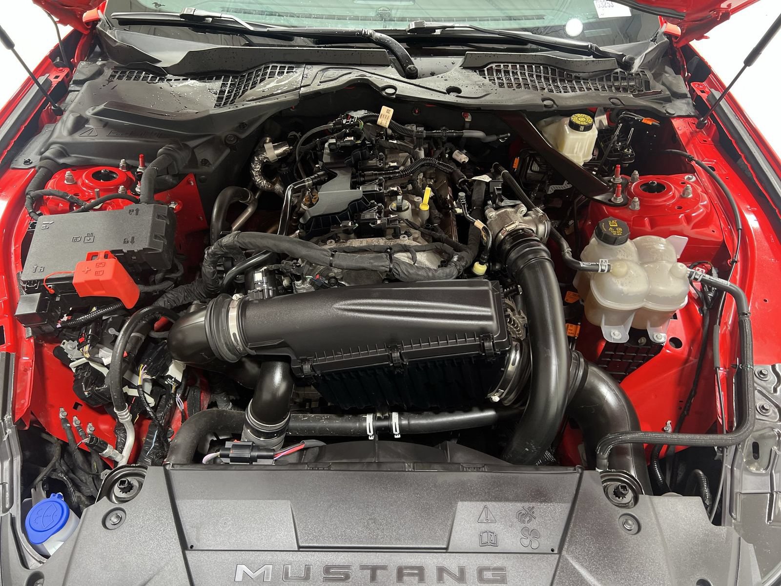 Used 2024 Ford Mustang Premium RWD image 24
