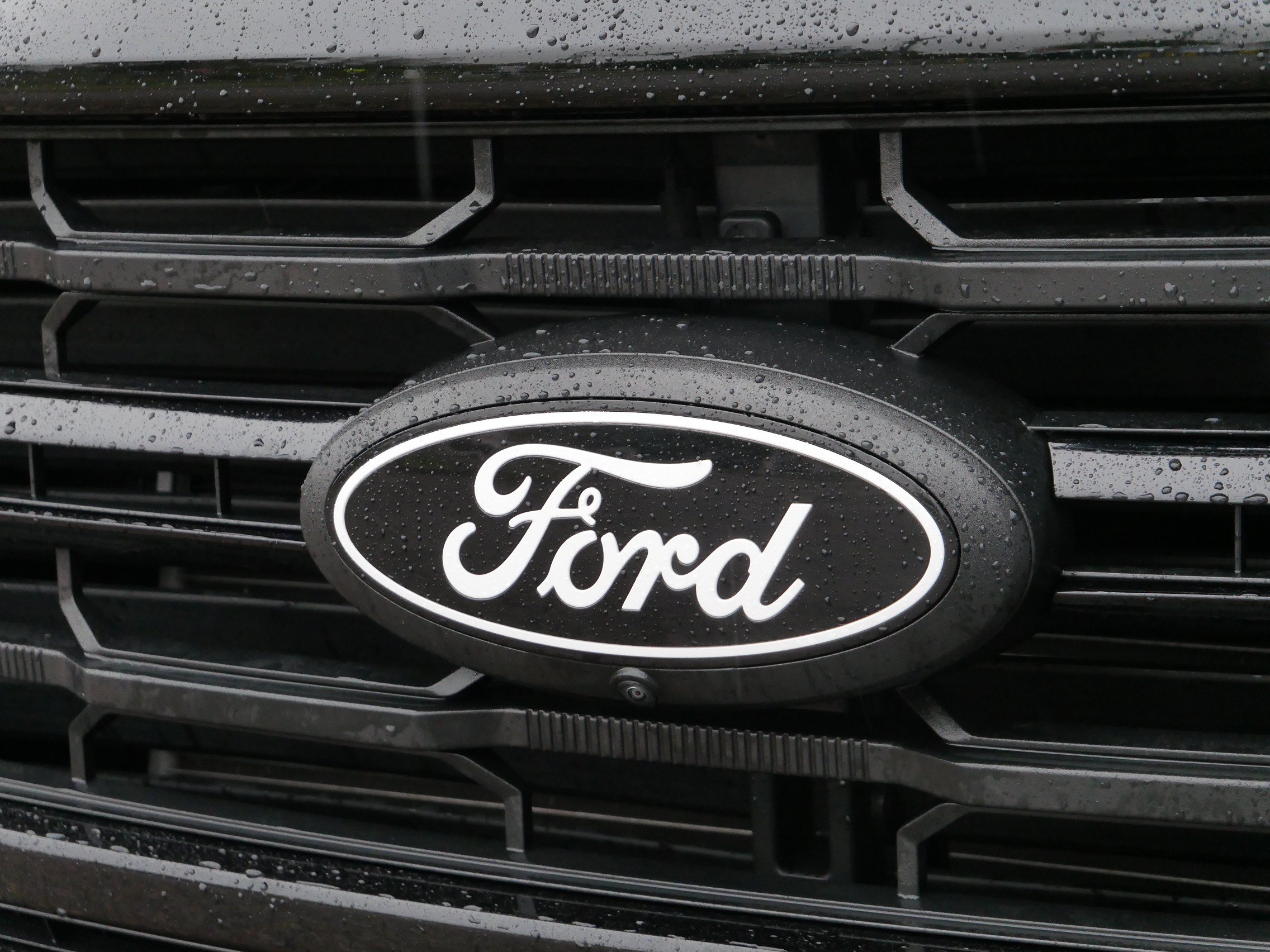 Used 2024 Ford F150 XLT w/ Equipment Group 303A High AWD/4WD image 4