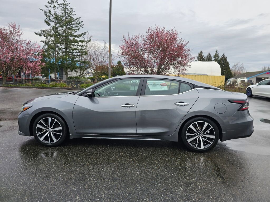 Used 2023 Nissan Maxima SL image 4