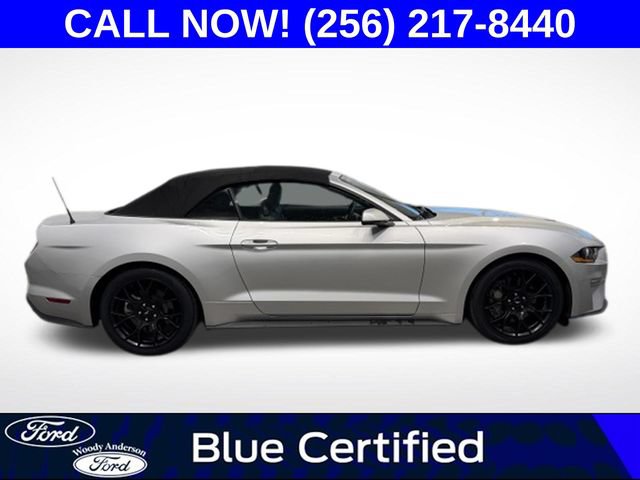 Used 2019 Ford Mustang Premium w/ Ecoboost Performance Package RWD image 5