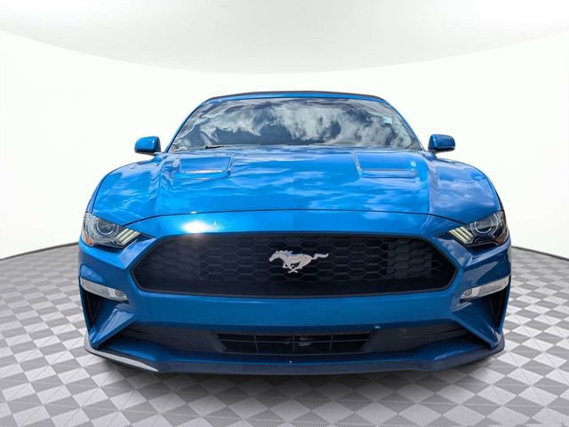 Used 2019 Ford Mustang Premium w/ Equipment Group 201A RWD image 8