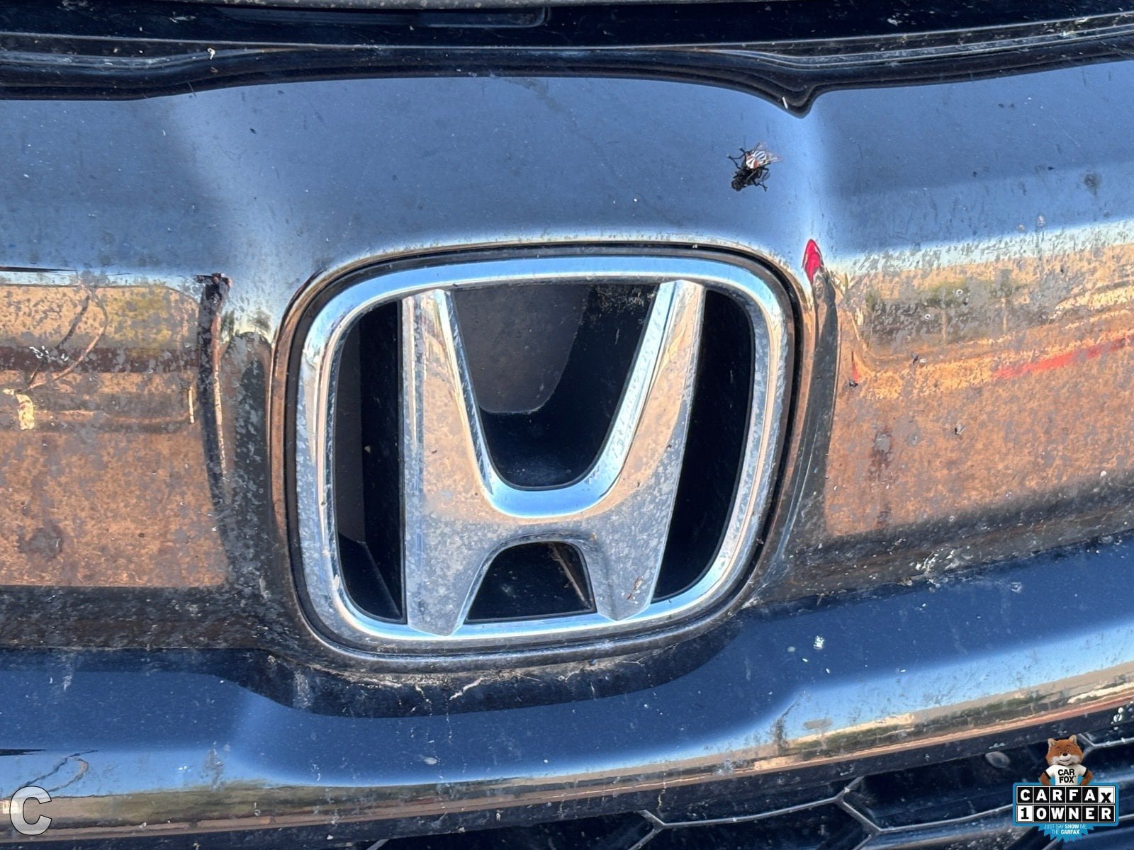 Used 2022 Honda HR-V Sport image 10