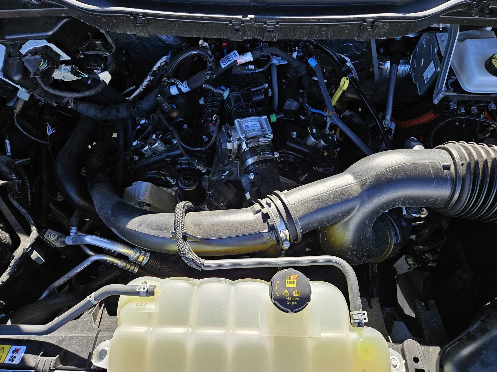 Used 2025 Ford F150 XLT w/ Equipment Group 302A MID image 31