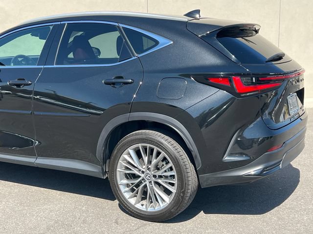 Used 2025 Lexus NX 350h AWD w/ Accessory Package (2T) image 7