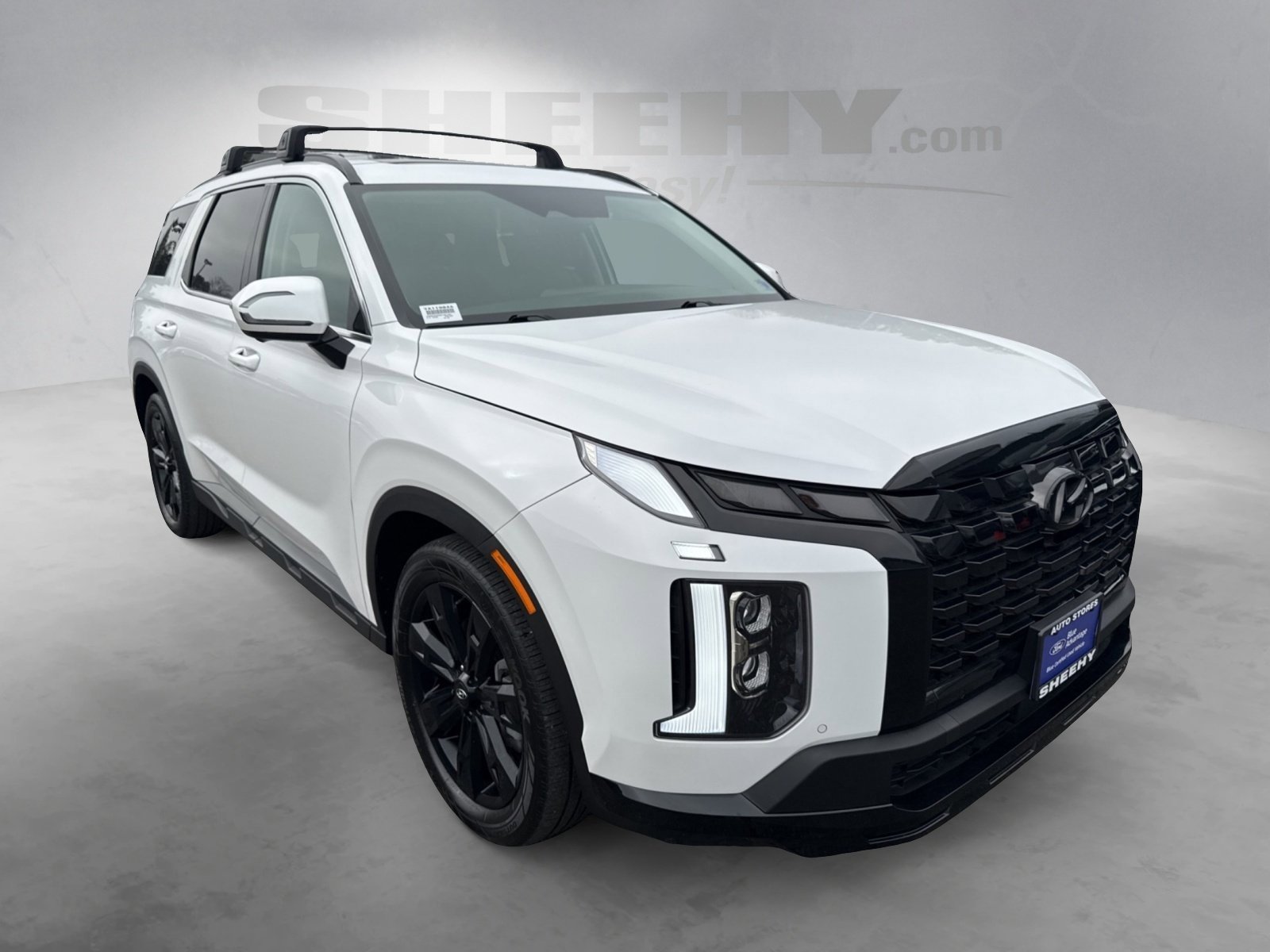 Used 2025 Hyundai Palisade XRT image 2
