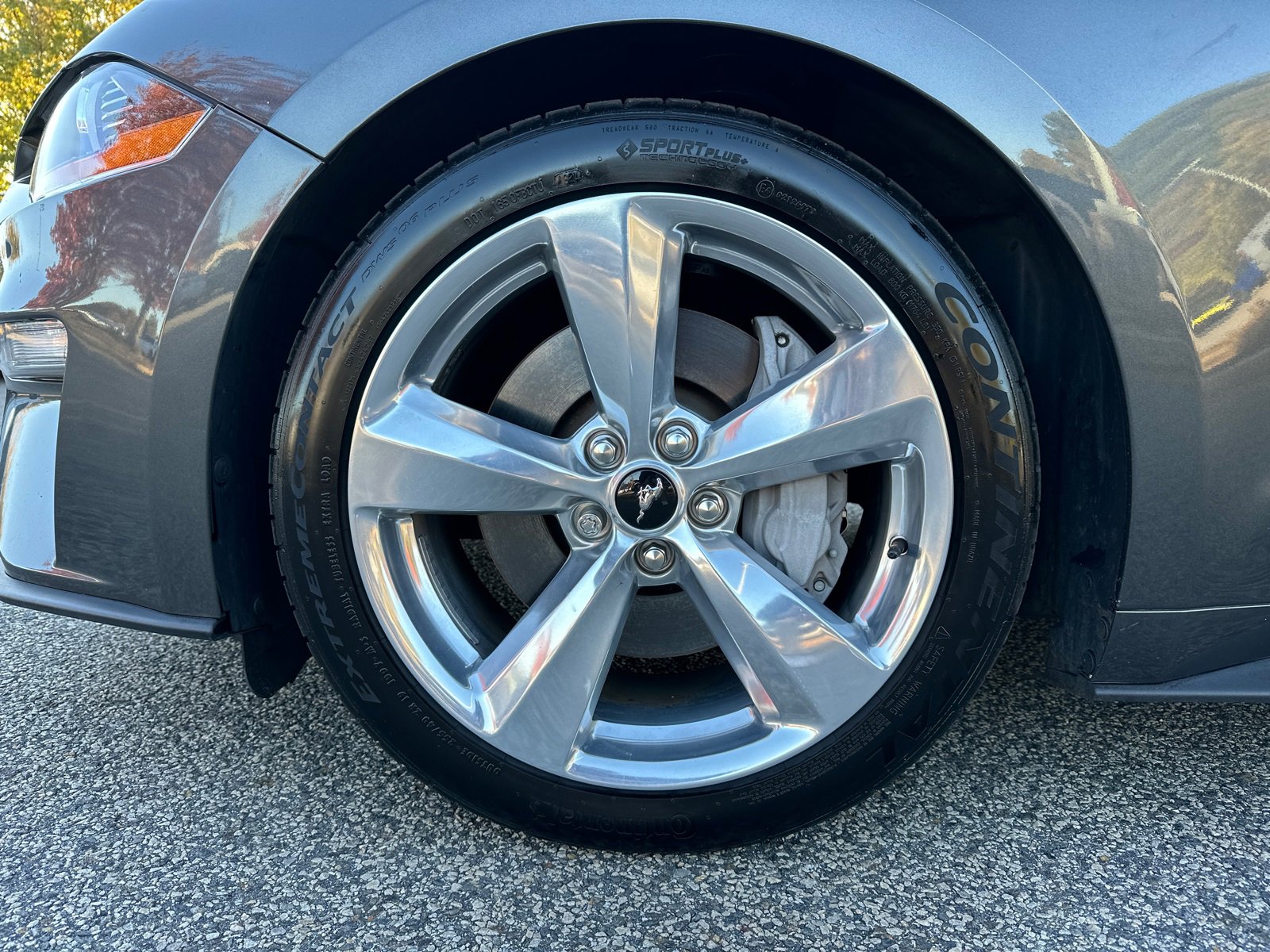 Used 2019 Ford Mustang GT Premium w/ Equipment Group 401A image 11