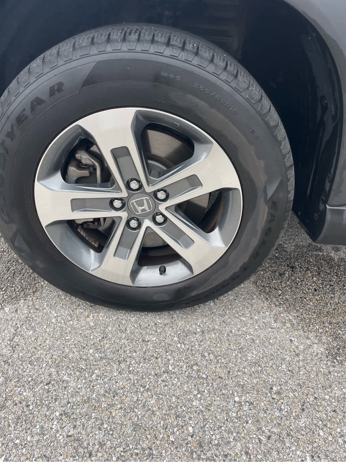 Used 2023 Honda Pilot EX-L image 8