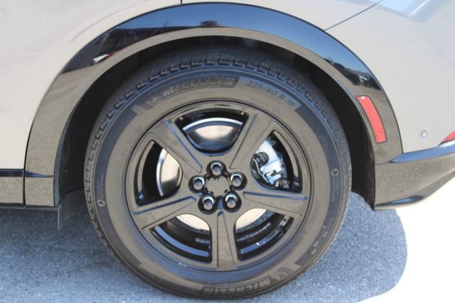 Used 2023 Ford Mustang Mach-E California Route 1 AWD/4WD image 7