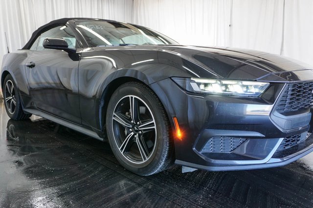 Used 2024 Ford Mustang Premium image 5