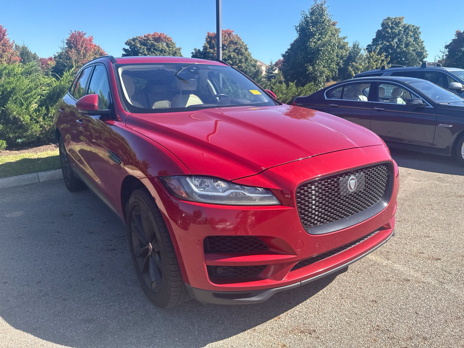 Used 2019 Jaguar F-PACE Prestige AWD/4WD image 3