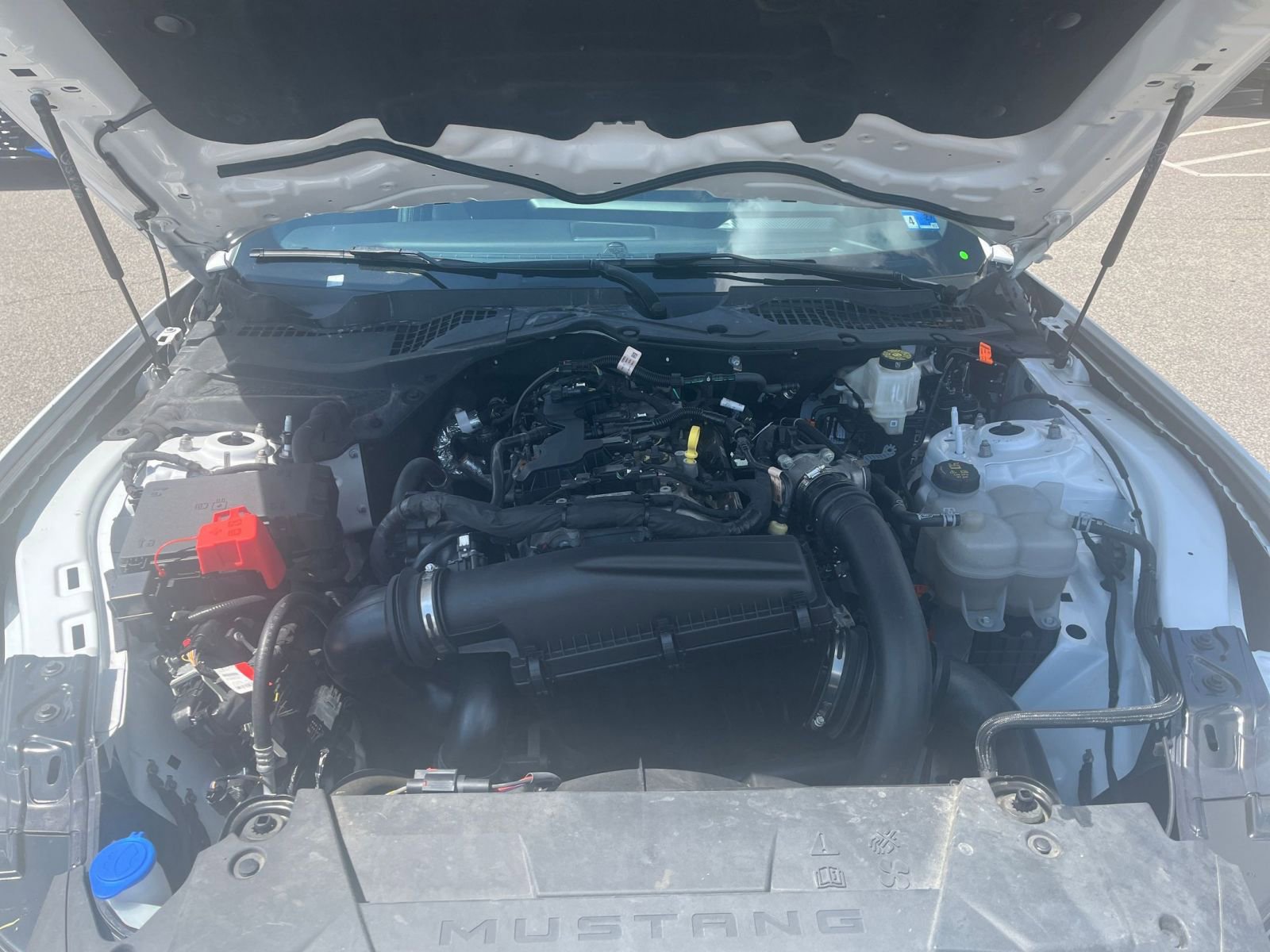 Used 2024 Ford Mustang Premium RWD image 32