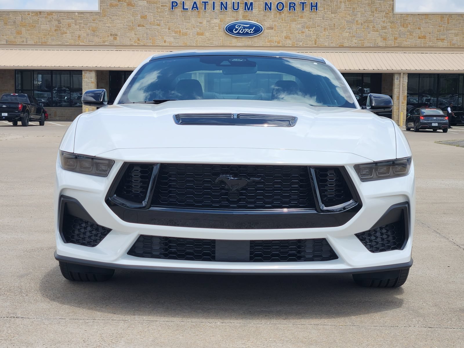 New 2026 Ford Mustang GT Premium w/ Mustang Nite Pony Package RWD image 6