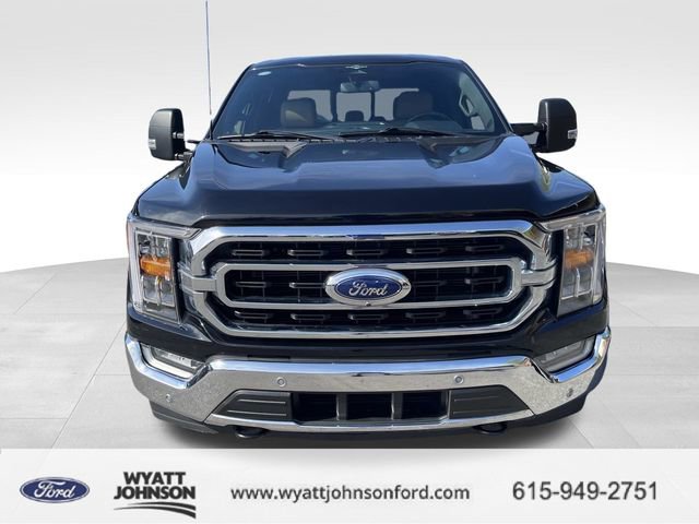 Certified 2023 Ford F150 XLT w/ Equipment Group 302A High image 8
